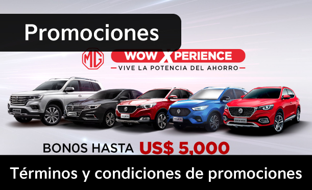 Términos y condiciones Intermotors