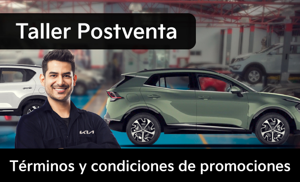 TÉRMINOS Y CONDICIONES. CAMPAÑAS POST VENTA